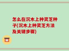 怎么在沉木上种灵芝种子(沉木上种灵芝方法及关键步骤)