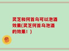灵芝和何首乌可以泡酒效果(灵芝何首乌泡酒的效果！)