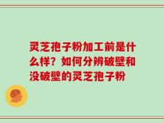 灵芝孢子粉加工前是什么样？如何分辨破壁和没破壁的灵芝孢子粉