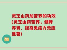 灵芝山药加苦荞的功效(灵芝山药苦荞，健脾养胃、提高免疫力效应显著)
