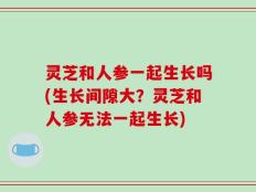 灵芝和人参一起生长吗(生长间隙大？灵芝和人参无法一起生长)
