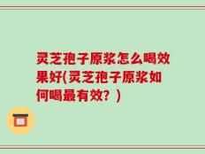 灵芝孢子原浆怎么喝效果好(灵芝孢子原浆如何喝最有效？)
