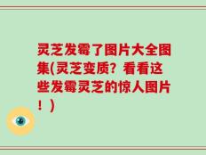 灵芝发霉了图片大全图集(灵芝变质？看看这些发霉灵芝的惊人图片！)