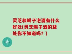 灵芝和蝎子泡酒有什么好处(灵芝蝎子酒的益处你不知道吗？)
