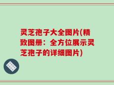 灵芝孢子大全图片(精致图册：全方位展示灵芝孢子的详细图片)