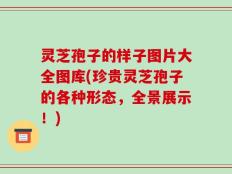 灵芝孢子的样子图片大全图库(珍贵灵芝孢子的各种形态，全景展示！)
