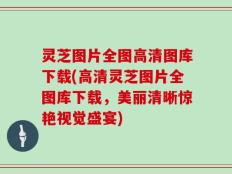 灵芝图片全图高清图库下载(高清灵芝图片全图库下载，美丽清晰惊艳视觉盛宴)