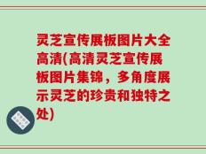 灵芝宣传展板图片大全高清(高清灵芝宣传展板图片集锦，多角度展示灵芝的珍贵和独特之处)