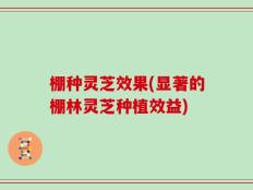 棚种灵芝效果(显著的棚林灵芝种植效益)