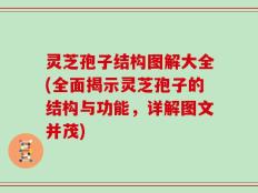 灵芝孢子结构图解大全(全面揭示灵芝孢子的结构与功能，详解图文并茂)