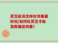 灵芝应该怎样吃效果最好吃(如何吃灵芝才能发挥最佳效果？