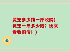 灵芝多少钱一斤收购(灵芝一斤多少钱？快来看收购价！)