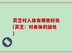 灵芝对人体有哪些好处(灵芝：对身体的益处)