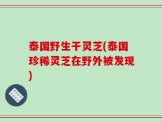 泰国野生干灵芝(泰国珍稀灵芝在野外被发现)