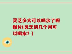 灵芝多大可以喝水了呢图片(灵芝到几个月可以喝水？)