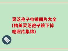 灵芝孢子电镜图片大全(精美灵芝孢子镜下惊艳照片集锦)