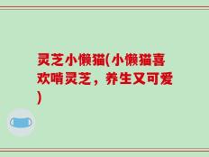 灵芝小懒猫(小懒猫喜欢啃灵芝，养生又可爱)