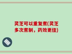 灵芝可以重复煮(灵芝多次煮制，药效更佳)