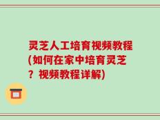 灵芝人工培育视频教程(如何在家中培育灵芝？视频教程详解)