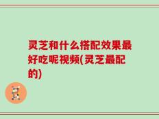 灵芝和什么搭配效果最好吃呢视频(灵芝最配的)