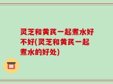 灵芝和黄芪一起煮水好不好(灵芝和黄芪一起煮水的好处)