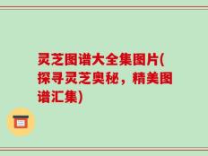 灵芝图谱大全集图片(探寻灵芝奥秘，精美图谱汇集)