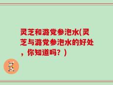 灵芝和潞党参泡水(灵芝与潞党参泡水的好处，你知道吗？)