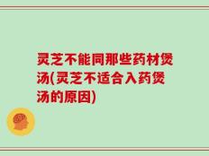 灵芝不能同那些药材煲汤(灵芝不适合入药煲汤的原因)