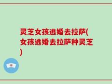 灵芝女孩逃婚去拉萨(女孩逃婚去拉萨种灵芝)