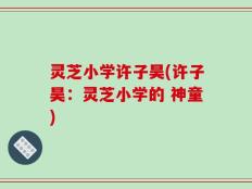 灵芝小学许子昊(许子昊：灵芝小学的 神童)