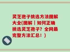 灵芝孢子挑选方法图解大全(图解｜如何正确挑选灵芝孢子？全网最完整方法汇总！)