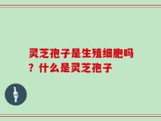 灵芝孢子是生殖细胞吗？什么是灵芝孢子