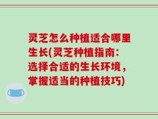 灵芝怎么种植适合哪里生长(灵芝种植指南：选择合适的生长环境，掌握适当的种植技巧)
