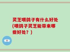 灵芝喂鸽子有什么好处(喂鸽子灵芝能带来哪些好处？)