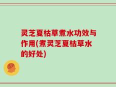 灵芝夏枯草煮水功效与作用(煮灵芝夏枯草水的好处)