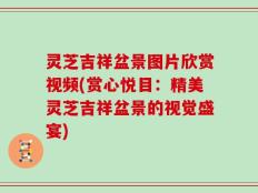 灵芝吉祥盆景图片欣赏视频(赏心悦目：精美灵芝吉祥盆景的视觉盛宴)