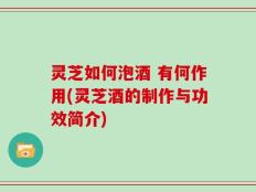 灵芝如何泡酒 有何作用(灵芝酒的制作与功效简介)