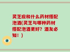 灵芝应和什么药材搭配泡酒(灵芝与哪种药材搭配泡酒更好？酒友必知！)