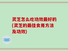 灵芝怎么吃功效最好的(灵芝的最佳食用方法及功效)