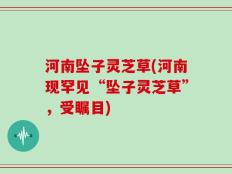 河南坠子灵芝草(河南现罕见“坠子灵芝草”，受瞩目)