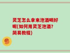 灵芝怎么拿来泡酒喝好呢(如何用灵芝泡酒？简易教程)