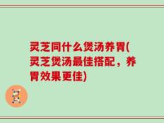 灵芝同什么煲汤养胃(灵芝煲汤最佳搭配，养胃效果更佳)