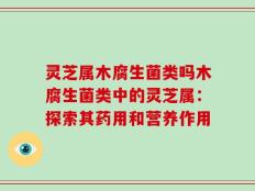 灵芝属木腐生菌类吗木腐生菌类中的灵芝属：探索其药用和营养作用