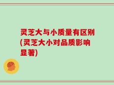 灵芝大与小质量有区别(灵芝大小对品质影响显著)