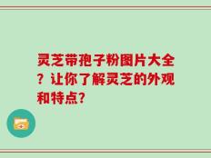 灵芝带孢子粉图片大全？让你了解灵芝的外观和特点？