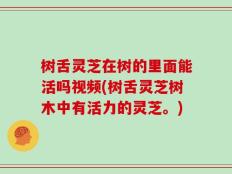 树舌灵芝在树的里面能活吗视频(树舌灵芝树木中有活力的灵芝。)