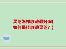 灵芝怎样收藏最好呢(如何最佳收藏灵芝？)