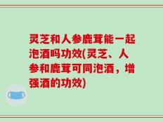 灵芝和人参鹿茸能一起泡酒吗功效(灵芝、人参和鹿茸可同泡酒，增强酒的功效)