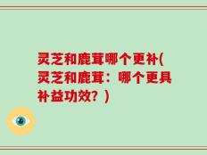 灵芝和鹿茸哪个更补(灵芝和鹿茸：哪个更具补益功效？)