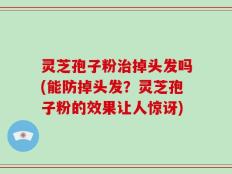 灵芝孢子粉治掉头发吗(能防掉头发？灵芝孢子粉的效果让人惊讶)